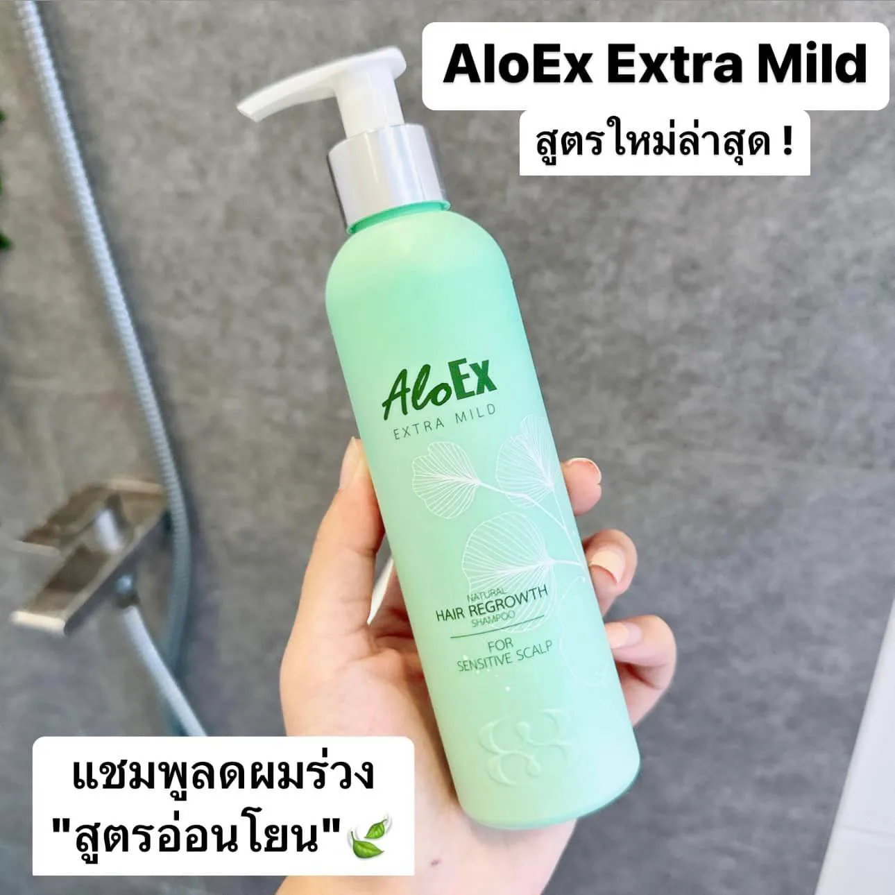 แชมพูดลดผมร่วงของ AloEx ต้องกรี้ดหนักมากกกก เพราะตอนนี้เค้าออกสูตรใหม่ล่าสุดดด Aloex Extra Mild