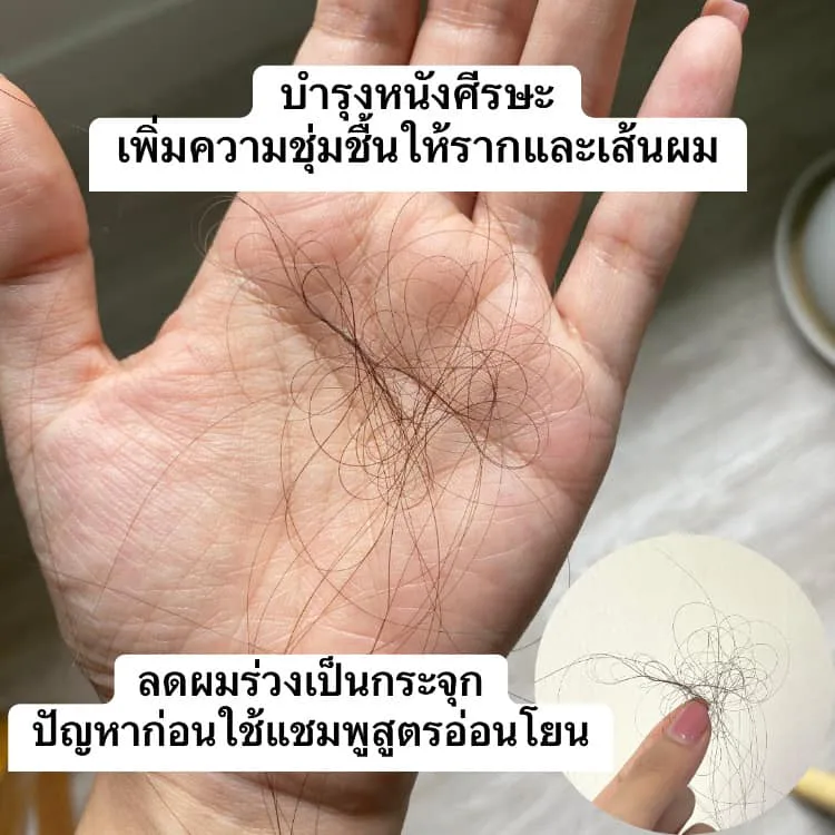 นับว่าเป็นเพิ่มสูตรที่ดีมากๆ ใช้แล้วช่วยทั้งลดผมร่วงและลดรังแคไปพร้อมกัน